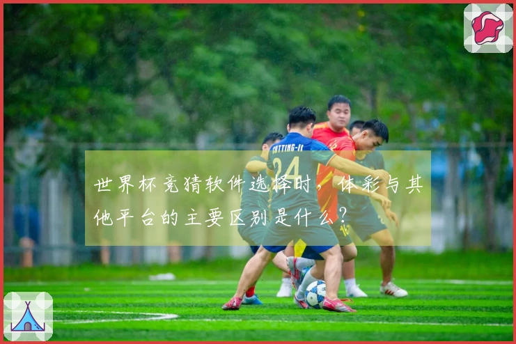 世界杯竞猜软件选择时,体彩与其他平台的主要区别是什么?