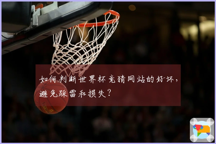 如何判断世界杯竞猜网站的好坏,避免踩雷和损失?